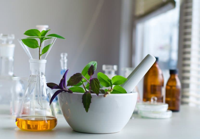 Fresh herbs in a mortar beside glass bottles of herbal tinctures.