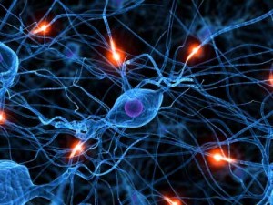chronic migraines as a progressive brain disorder