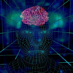 gut bacteria and the brain