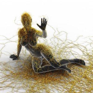 statins and nerve damage