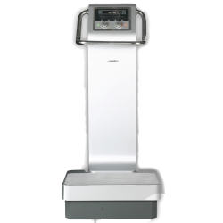 vibration plate exercises and muscle mass